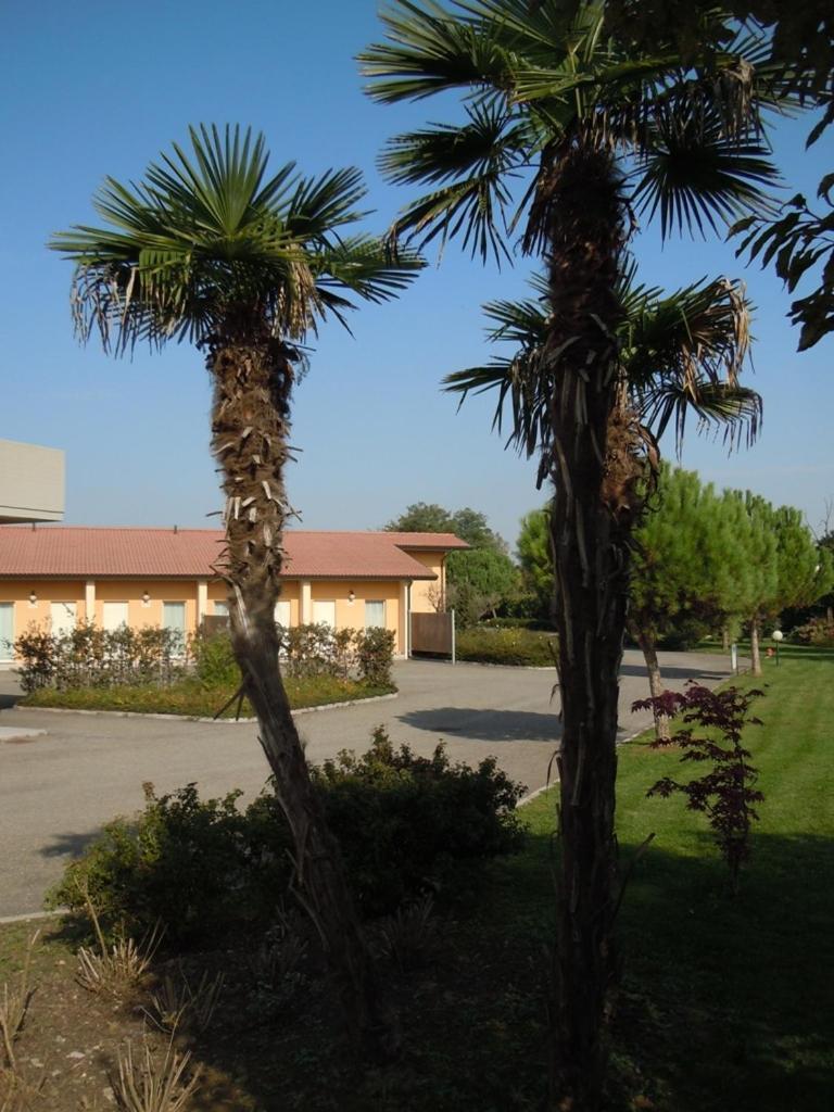 Hotel Motel Fiore Фьоренцуола-д'Арда Экстерьер фото